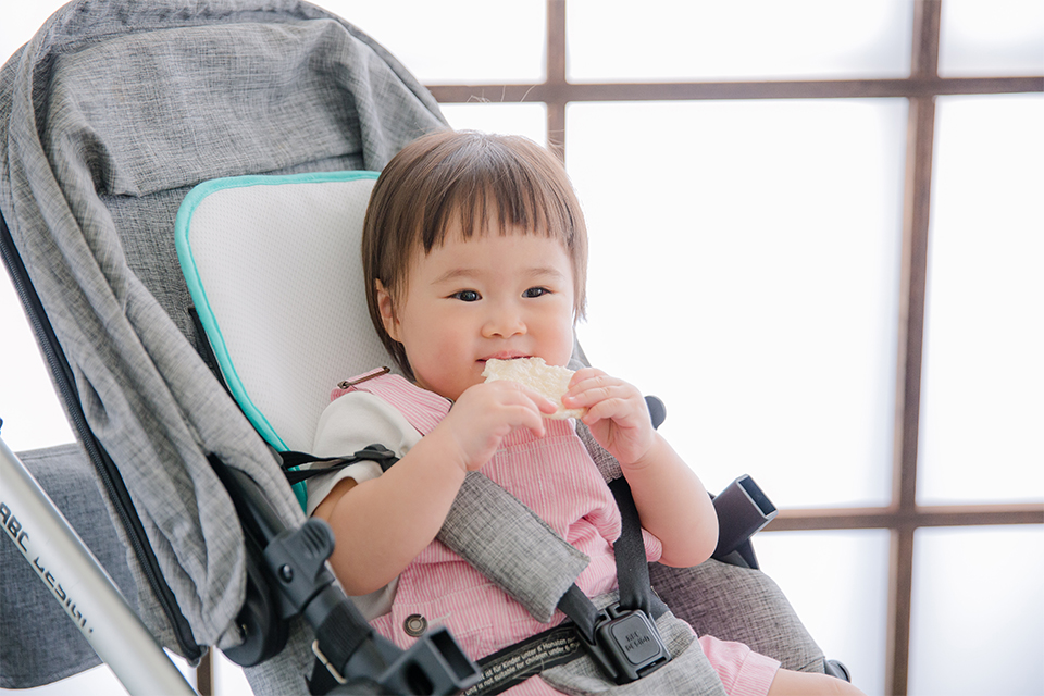 baby stroller 960-2